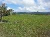 Vacant Lot for Sale in San Vicente, Palawan